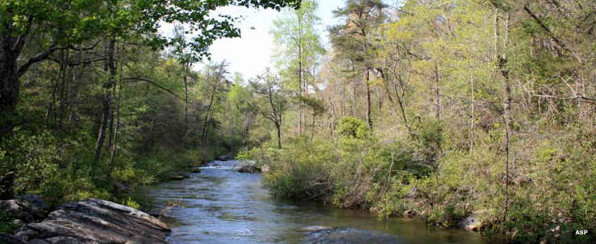 Little River flowing through DeSoto State Park