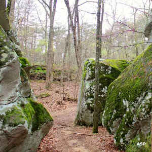 Large, moss-covered boulders among the trees along one of the trails at DeSoto State Park