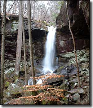 Sipsey Wilderness: West Bee Falls West Bee Falls, Sipsey Wilderness