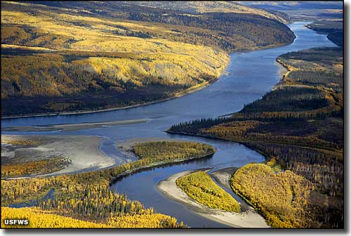 Alatna River