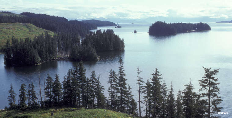 Alaska State Parks: A view at Afognak Island State Park A view at Afognak Island State Park