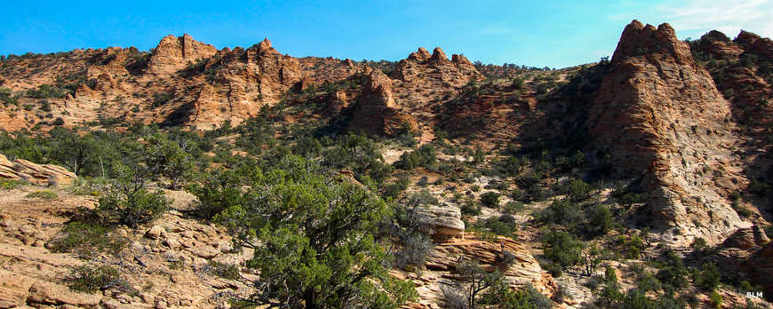 A view of the landscape of Cottonwood Point Wilderness above the cliff tops