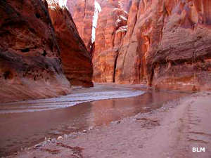 Paria Canyon
