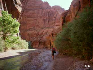 Paria Canyon
