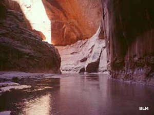 Paria Canyon