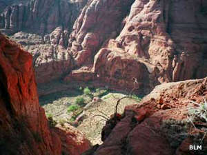 Paria Canyon