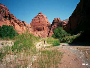 Paria Canyon