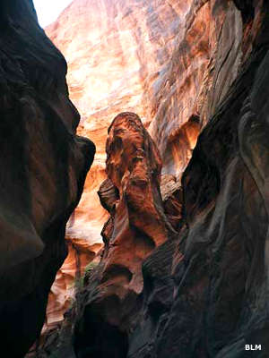Buckskin Gulch