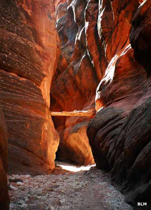 Buckskin Gulch