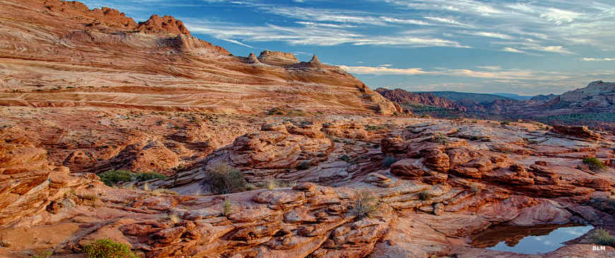 A view across the striped sandstone landscape in the South Coyote Buttes area