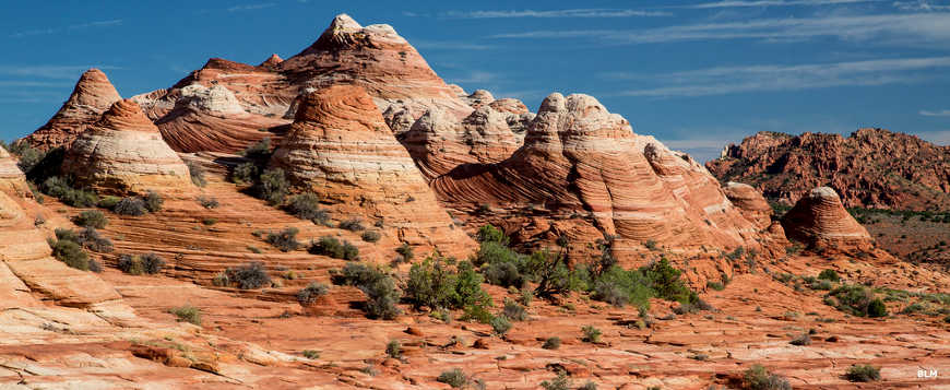 Looking at eroded and striated knobs in the South Coyote Buttes area