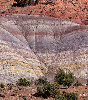 Vermilion Cliffs National Monument: Multicolored layers of sand A view of the Chinle Formation: multicolored layers of sandstone