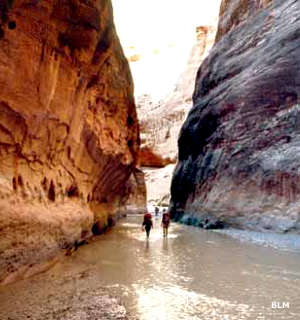 Hikers in the stream at the bottom of Paria Canyon