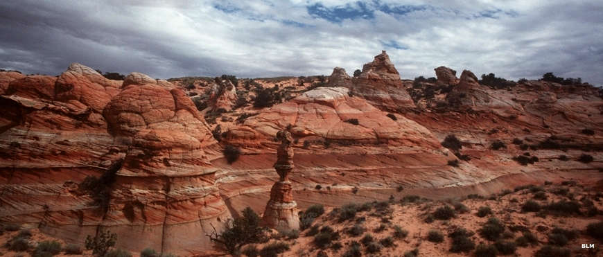 Eroded rock formations at Vermilion Cliffs National Monument