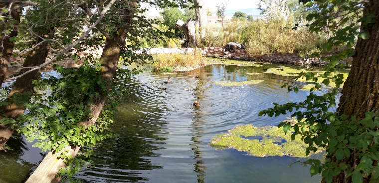 A pond at Pipe Spring National Monument