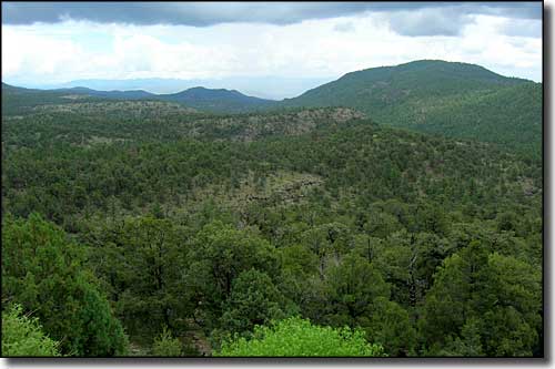 Coronado Trail Scenic Byway: Blue Range Primitive Area Blue Range Primitive Area, along the Coronado Trail Scenic Byway