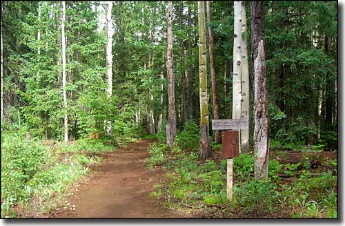 Blue Range primitive Area: Steeple Trail Trailhead Steeple Trail trailhead in the Blue Range Primitive Area