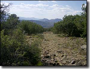 Cedar Bench Wilderness: A typical trail A typical trail in Cedar Bench Wilderness