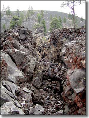 Strawberry Crater Wilderness
