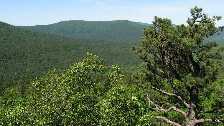 A ridgetop view over the forested wilderness area