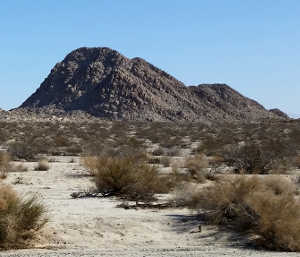 A typical view in the Mojave Desert