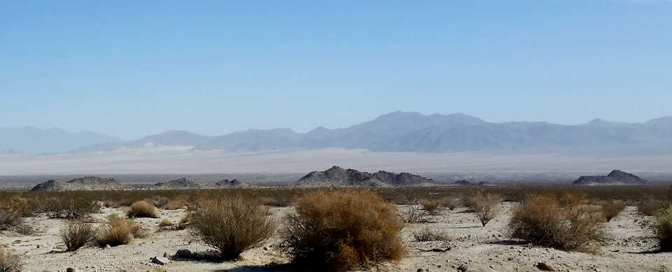 Mojave Trails National Monument: A view to the north in Sheephole Valley Looking north in Mojave Trails National Monument