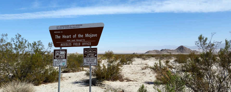 In the heart of the Mojave Desert