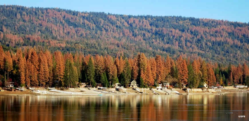 A view across Bass Lake