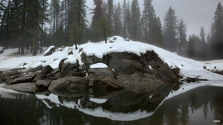 Snow at Shaver Lake