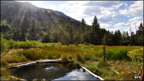Mono Hot Springs area