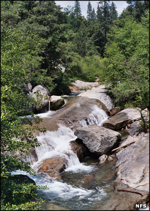 A waterfall on Sierra National Forest