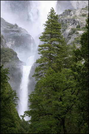 Yosemite Falls