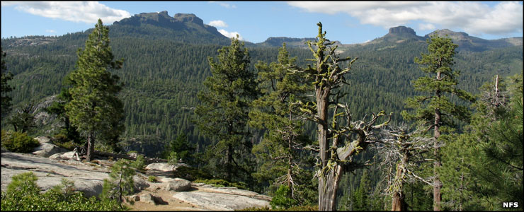 Carson-Iceberg Wilderness: In the Dardanelles area The Dardanelles area, Carson-Iceberg Wilderness