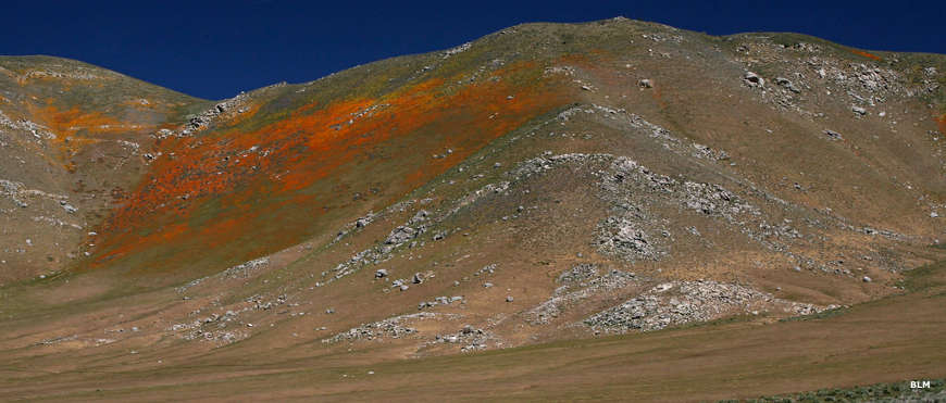 A typical view in Kiavah Wilderness