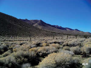 A typical view in Kiavah Wilderness
