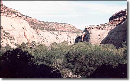 A canyon view at Mesa Verde National Park Mesa Verde National Park