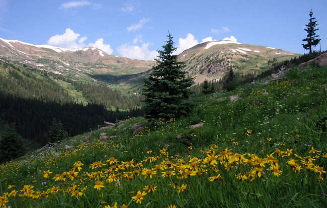 A view in Vasquez Peak Wilderness