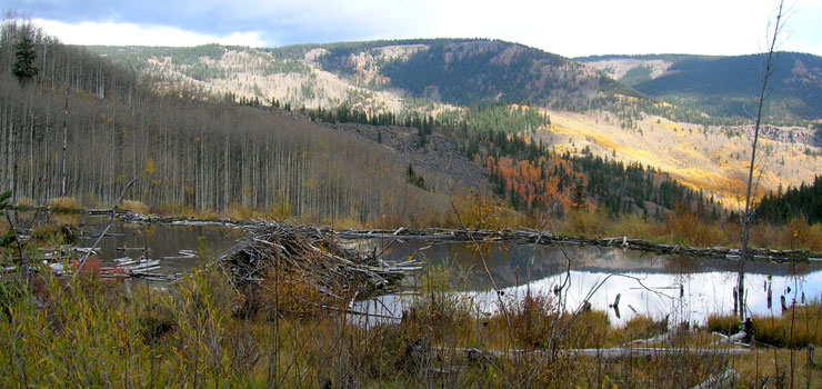 Along the Silver Thread Scenic Byway in Colorado