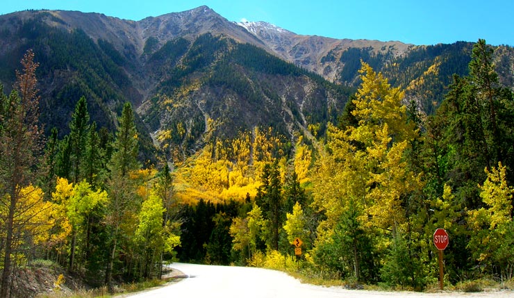 A view at the foot of Independence Pass in Colorado