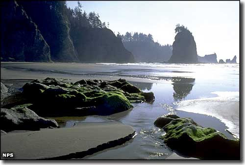 Olympic National Park, Washington