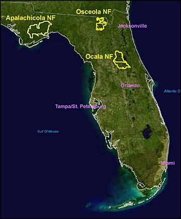 Map showing the location of National Forests in Florida