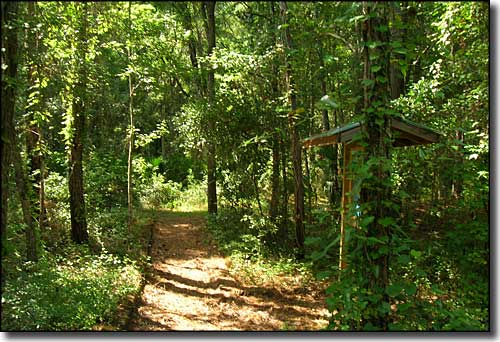 The kiosk at the Suwannee River Trailhead
