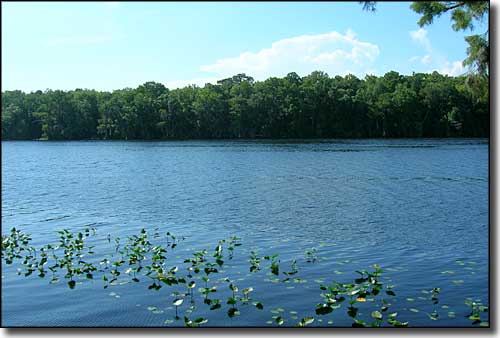 The Lower Suwannee River itself