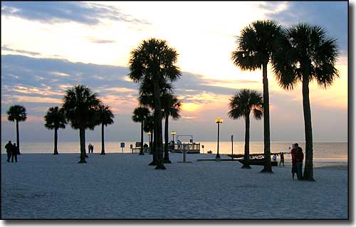 A view at Pine Island Beach on the Gulf Coast Pine Island Beach, Gulf Coast of Florida