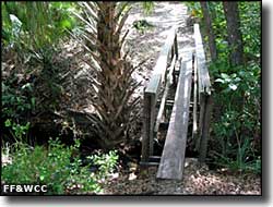 A plank footbridge in Little Big Econ State Forest