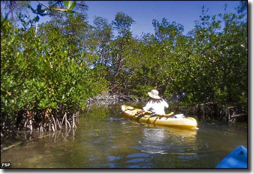 Kayaking in the backwaters of the park