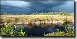 A storm moving in