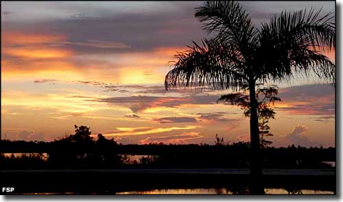Sunset at Fakahatchee Strand Preserve State Park