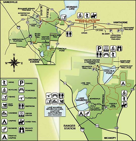 Paynes Prairie Preserve State Park Florida State Parks