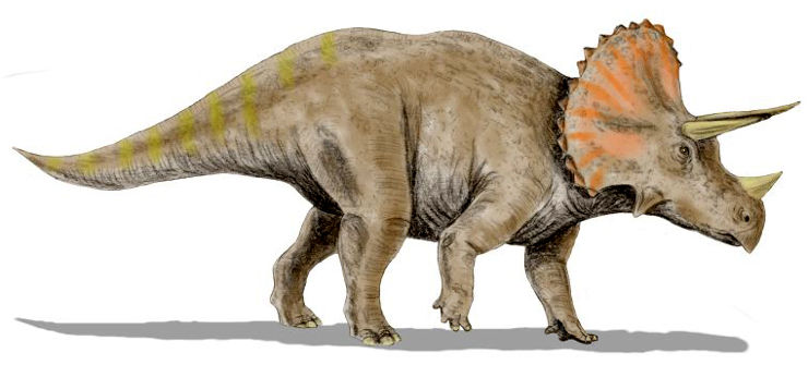 triceratops period